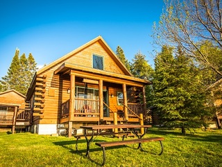 Deer Exterior