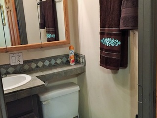 Bathroom 1, shower