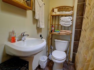 Bathroom 2, shower/tub
