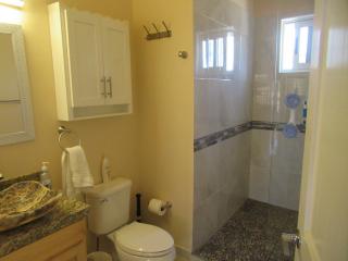 Full Bath w/ Lrg Shower