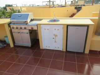Rooftop BBQ Kitchen